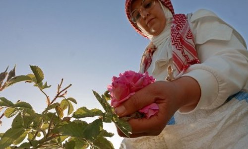 Fragrances: A Lebanese village at the heart of the Damask rose tradition