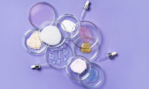 COSMÉTOSCIENCES: A cosmetics research program in France