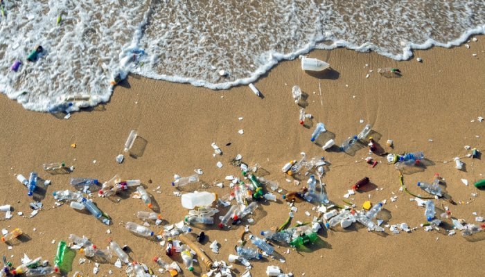 Rise in ocean plastic pollution 'unprecedented' since 2005, study found