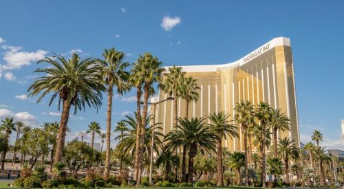 Salons : Cosmoprof North America fait son retour avec succès à Las Vegas