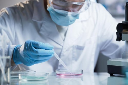 BASF and Givaudan get OECD approval for first animal-free toxicology testing