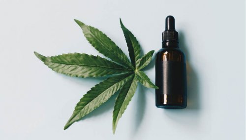 Après le CBD, la cosmétique explore les vertus du CBG