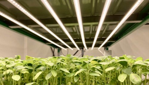 Capsum crée une ferme laboratoire verticale avec la technologie iFarm