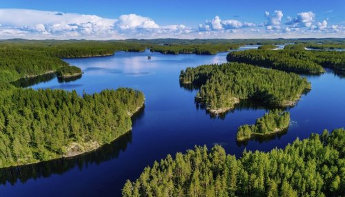 Sustainability: Metsä Board once again rated Platinum level from EcoVadis