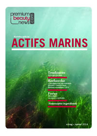 Actifs Marins