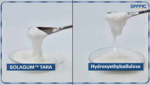 Figure 2 - Formulé dans un masque capillaire à rincer, SOLAGUMTM TARA offre...